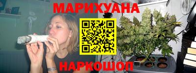 сатива Краснодар