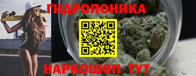 сатива Краснодар