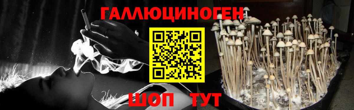 Псилоцибиновые грибы мухоморы  Галлюциногенные грибы Psilocybine cubensis  Карпинск  Вход с VPN 